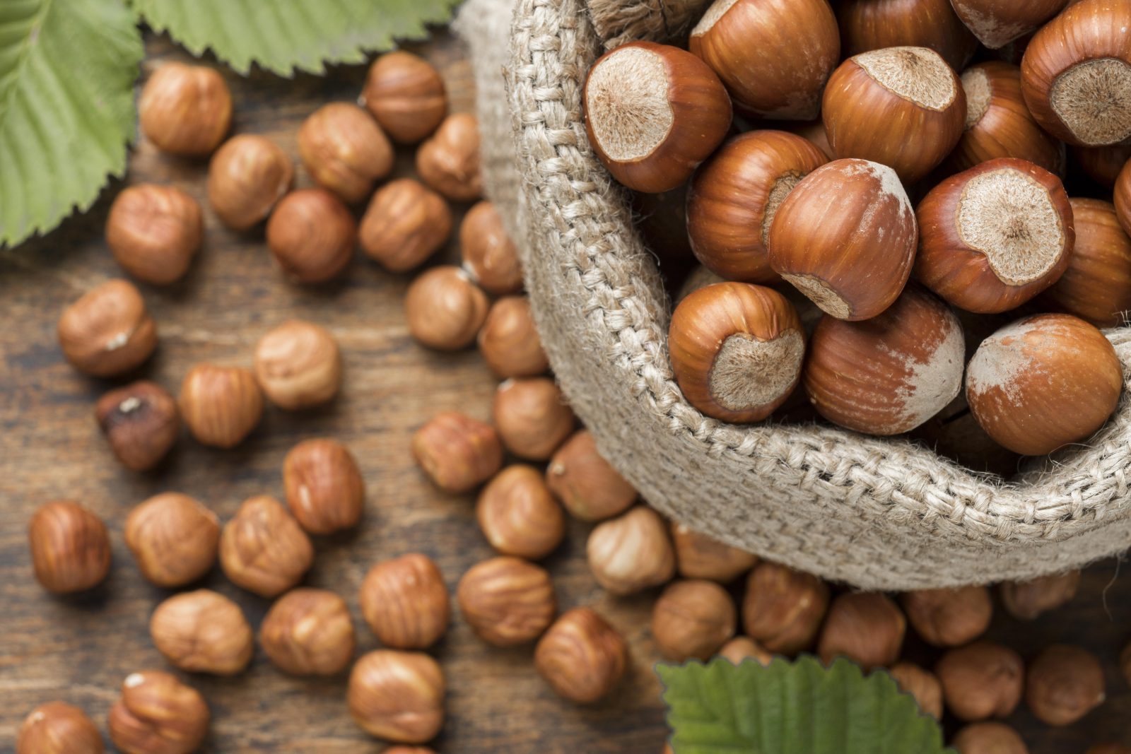 Nuovo sito aziendale per la nocciola biologica italiana