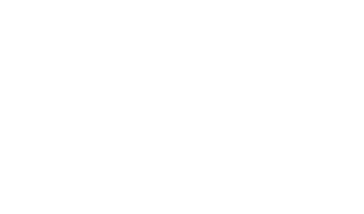 NIC Design